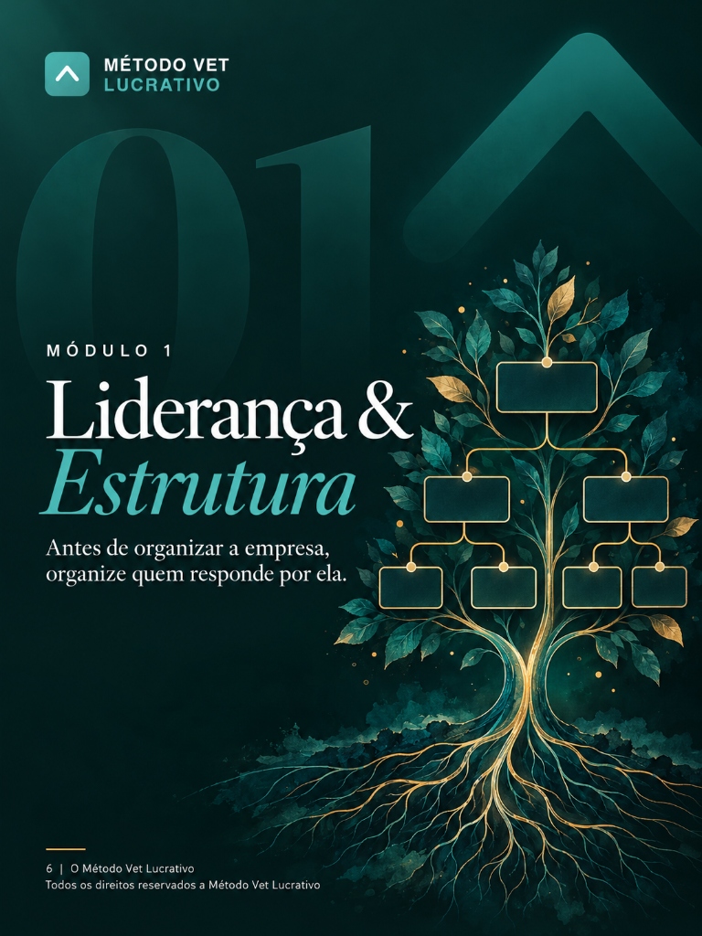 Módulo 1: Liderança & Estrutura