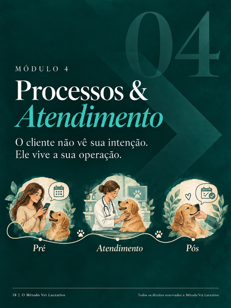 Módulo 4: Processos & Operação